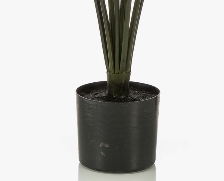 Künstliche Pflanze in einem kleinen schwarzen Kunststofftopf mit grünen Stielen.