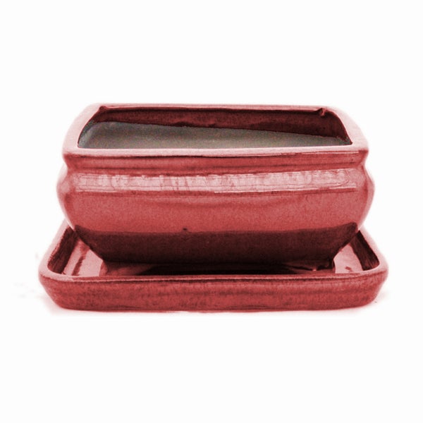 Bonsai-Schale mit Unterteller Gr. 2 - Rot - rechteckig - Modell G81 - L 14,5cm - B 11,3cm - H 6,6cm