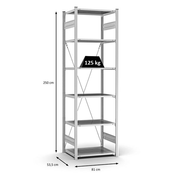 PROREGAL Profi Lagerregal Stecksystem T-Profil Grundregal HxBxT 250 x 75 x 50 cm Fachlast 125 kg Verzinkt