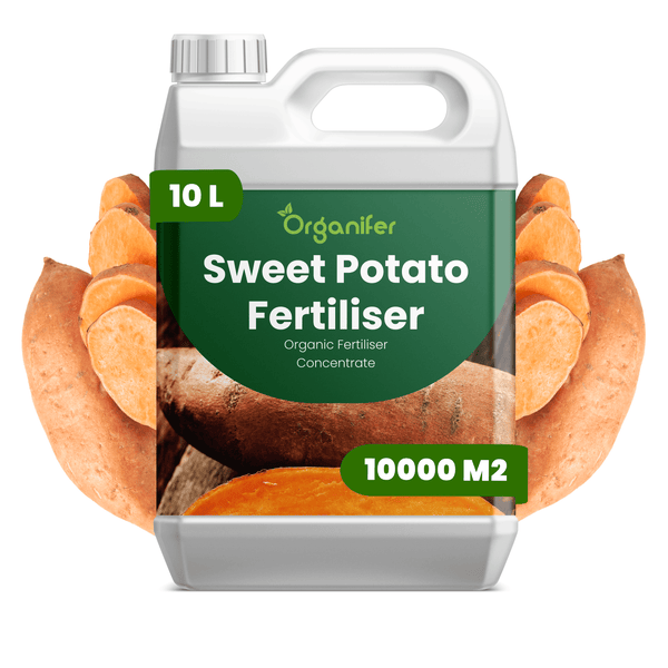 10 Liter Organifer Süßkartoffeldünger, Bio-Dünger-Konzentrat im weißen Kanister, ausreichend für bis zu 10000 Quadratmeter.