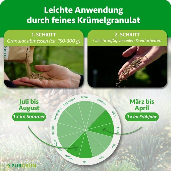 Purgrün Dünger Anwendung: 1. Abmessen von circa 150-300 Gramm, 2. Verteilen. Kalender zeigt Anwendung im März-April und Juli-August. Purgrün Logo.