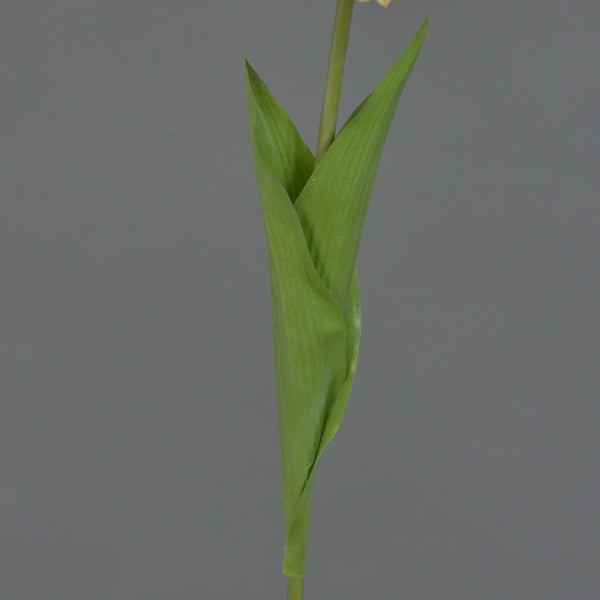 Quadratisches Wandpanel aus künstlichem Moos mit verschiedenen Farnen und Blattpflanzen für die Innenraumdekoration.