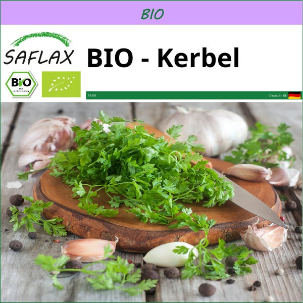 SAFLAX  - BIO - Kerbel - Anthriscus cerefolium - 800 Samen