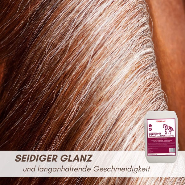 Nahaufnahme von glänzendem Pferdehaar mit einem 5 Liter Kanister Supravit Schweif- und Mähnenspray für seidigen Glanz und Geschmeidigkeit.