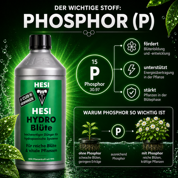 Hesi Hydro Bluete Phosphordünger Infografik zur Pflanzenstärkung und Blütenbildung für hydroponische Systeme.