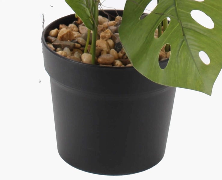 Künstliche Monstera Adansonii im schwarzen Kunststofftopf mit Moosstab und Kieselsteinen.