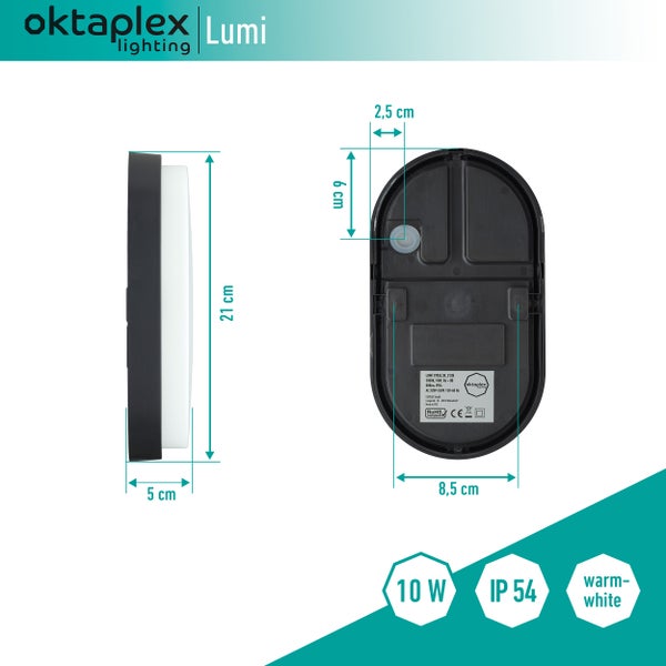 LED Kellerlampe Oval Lumi warmweiß 3000K IP54 10W 800Lm für Keller Wände und Decken anthrazit