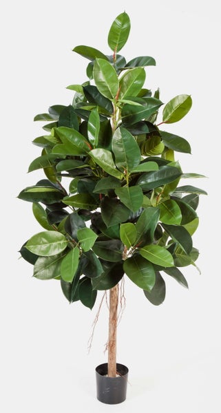 Künstlicher Gummibaum in einem schwarzen Kunststofftopf mit naturgetreuen Blättern und einem Stamm mit Luftwurzeln.