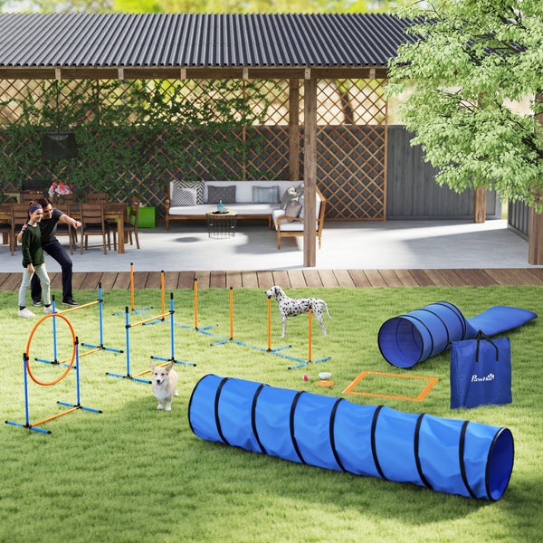Agility-Set für Hunde im Garten mit Tunnel, Hürden, Reifen und Slalomstangen auf einer Rasenfläche vor einer Terrasse.