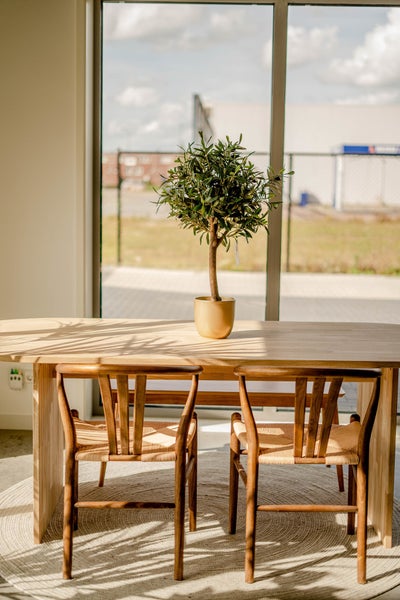 3-teiliges Liegesessel-Set mit Motiven für Strand, Garten, Pool und Innenräume