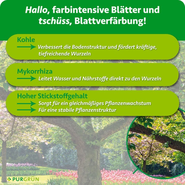 Infografik zu Wirkstoffen für gesundes Pflanzenwachstum mit Kohle, Mykorrhiza und Stickstoff für Gartenpflanzen der Marke Purgrün Logo.