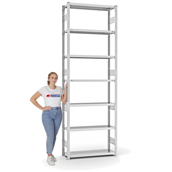 PROREGAL Fachbodenregal Stecksystem T-Profil Heavy-Duty Grundregal HxBxT 300 x 100 x 30 cm 7 Ebenen Fachlast 300 kg Beidseitig Nutzbar Lichtgrau