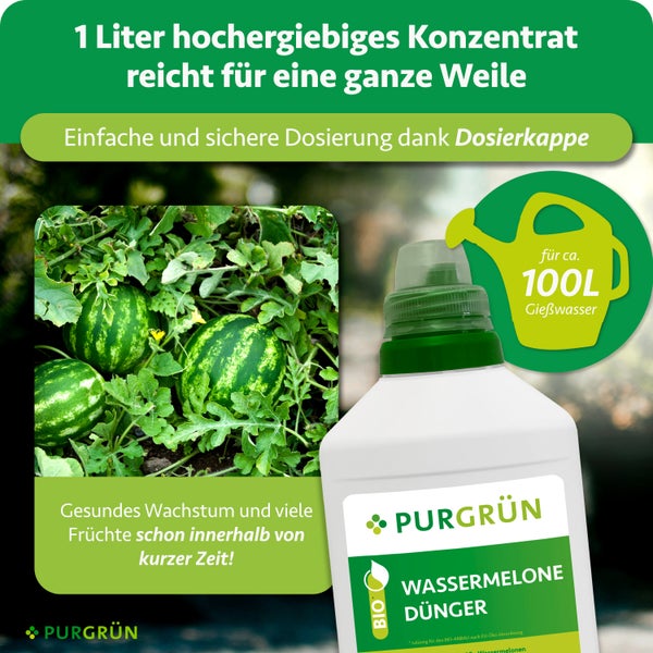 Purgrün Bio Wassermelonendünger, 1 Liter Konzentrat für circa 100 Liter Gießwasser, fördert gesundes Wachstum und Fruchtbildung.