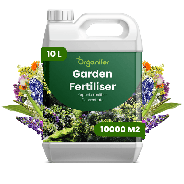 Organifer Garten-Dünger, organisches Düngerkonzentrat, 10 Liter für 10000 Quadratmeter, Kanister, Organifer Logo.