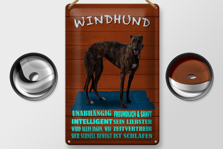 Blechschild Spruch 20x30cm Windhund Hund intelligent sanft