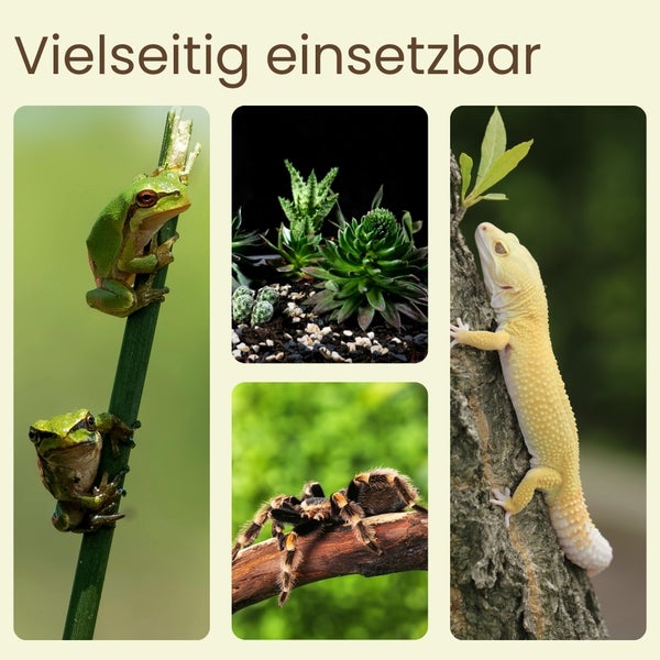Collage mit verschiedenen Tieren und Pflanzen, die vielseitig einsetzbar sind.