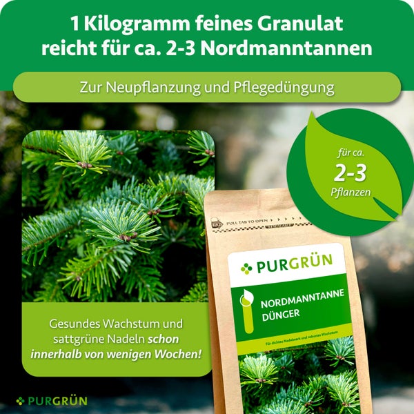 PURGRÜN Nordmanntannen Dünger in 1 Kilogramm Packung für Neupflanzung und Pflegedüngung von 2 bis 3 Nordmanntannen.