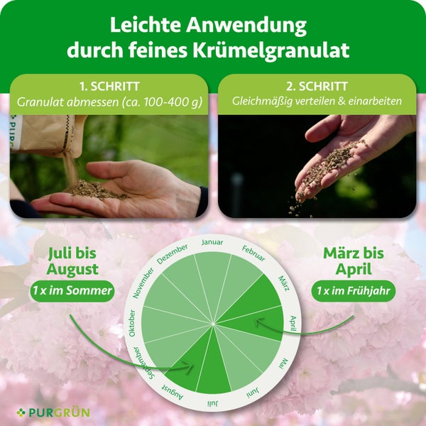 Anleitung für Purgrün Dünger-Granulat: Abmessen von circa 100 bis 400 Gramm und Verteilen. Kalender für März bis April und Juli bis August. Purgrün Logo.
