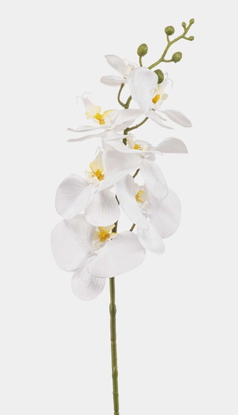 Künstliche Pflanze mit großen, grün gestreiften Blättern.