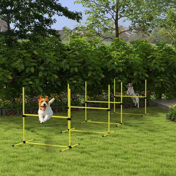 PawHut Agility-Ausrüstung, L99 x B65 x H94 cm, Kunststoff, Gelb