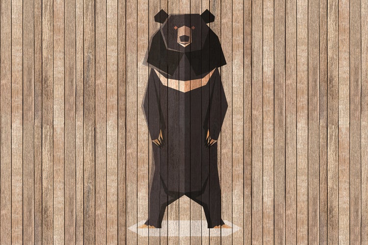 Illustration eines stehenden Bären auf Holzhintergrund