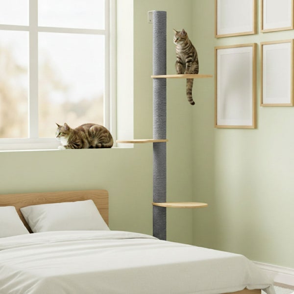 Deckenhoher Kratzbaum zur Wandmontage mit drei Holzplattformen und Sisalstamm in einem Schlafzimmer mit zwei Katzen