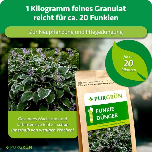 Technische Zeichnung einer Einbauleuchte mit Maßangaben