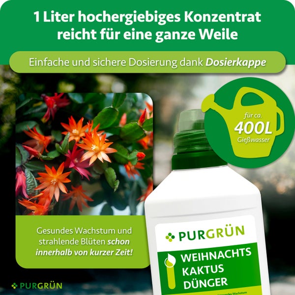 Eine Flasche PURGRÜN Weihnachtskaktus Dünger Konzentrat, ausreichend für 400 Liter Gießwasser, inklusive Dosierkappe für die Pflanzenpflege.
