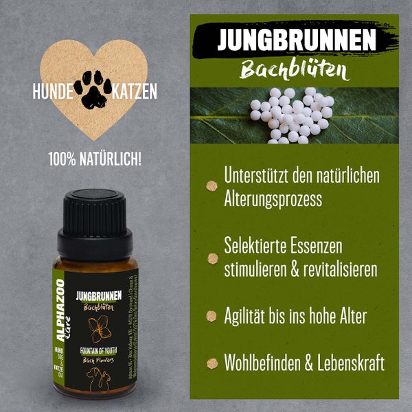 ALPHAZOO Jungbrunnen Bachblüten 15g, Globuli für Hunde und Katzen
