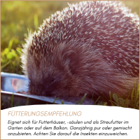 Ein Igel frisst aus einer flachen Futterschale im Garten, ergänzt durch eine Fütterungsempfehlung für Wildtierfutter.