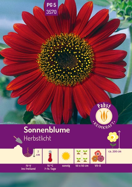 Pabst Keimkraft Logo auf einer Samentüte für Sonnenblume Herbstlicht mit roter Blüte und Symbolen für Aussaat, Standort, Blütezeit und Wuchshöhe.