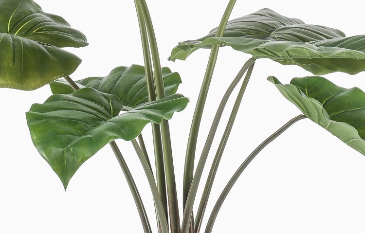 Nahaufnahme einer künstlichen Alocasia-Pflanze mit großen grünen Blättern und langen Stielen.