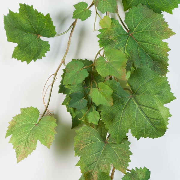 Künstliche Weinrebe mit grünen Blättern und feinen Verästelungen für die Dekoration.