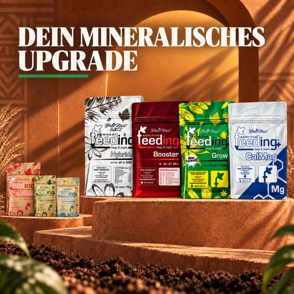 Verschiedene Green House Feeding Dünger Produkte als Pulver in einer dekorativen Kulisse.