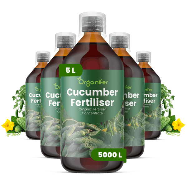 Fünf Flaschen Organifer Gurkendünger, organisches Düngerkonzentrat, 5 Liter für circa 5000 Liter.