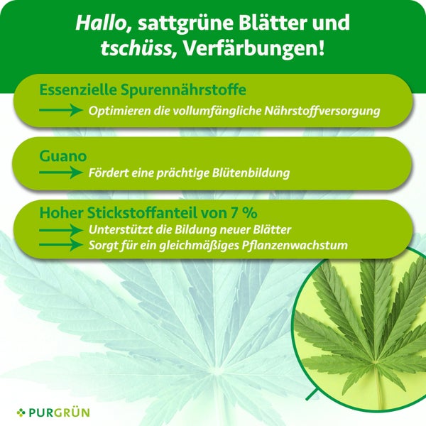Infografik für Purgrün Pflanzendünger: Spurennährstoffe, Guano und 7 Prozent Stickstoff für gesundes Blattwachstum. Purgrün Logo.