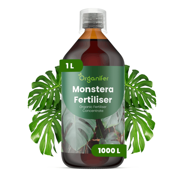 1 Liter Flasche Organifer Monstera Dünger, organisches Konzentrat für bis zu 1000 Liter, inklusive Messbecher.