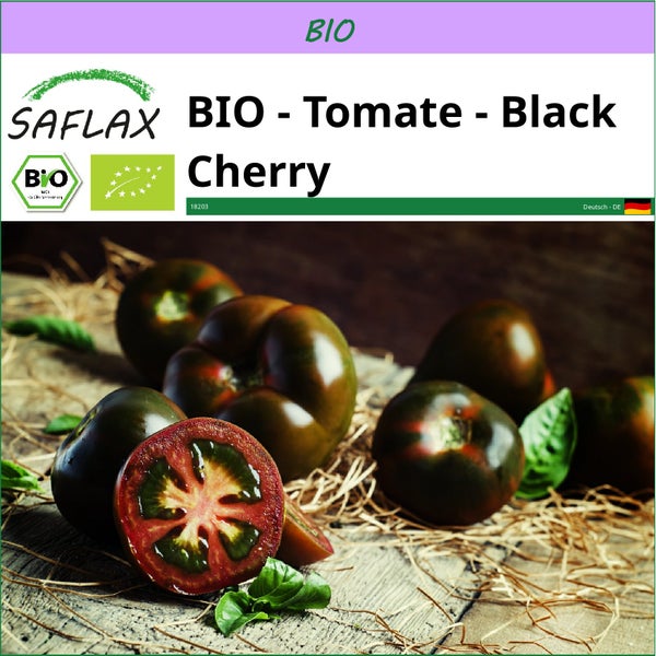 SAFLAX  - BIO - Tomate - Black Cherry - Solanum lycopersicum - 10 Samen