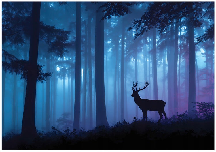 Fototapete mit der Silhouette eines Hirsches in einem nebligen Wald.