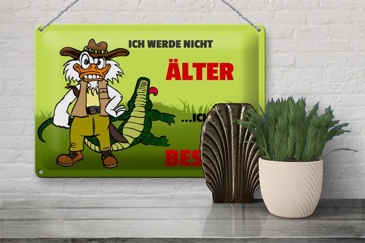 Blechschild Spruch 30x20cm Werde nicht älter werde besser