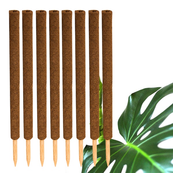 BigDean 8er Set Pflanzstäbe Kokos 80 cm - Monstera Rankhilfe Rankstäbe Stab Moosstäbe Pflanzenstäbe Kokosstäbe für Pflanzen - aus natürlicher Kokosfaser - verlängerbar