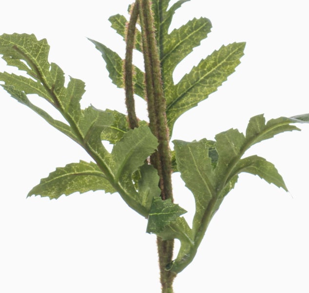 Künstlicher Mohn mit zwei pfirsichfarbenen Blüten, einer Knospe und grünen Blättern an einem behaarten Stiel.