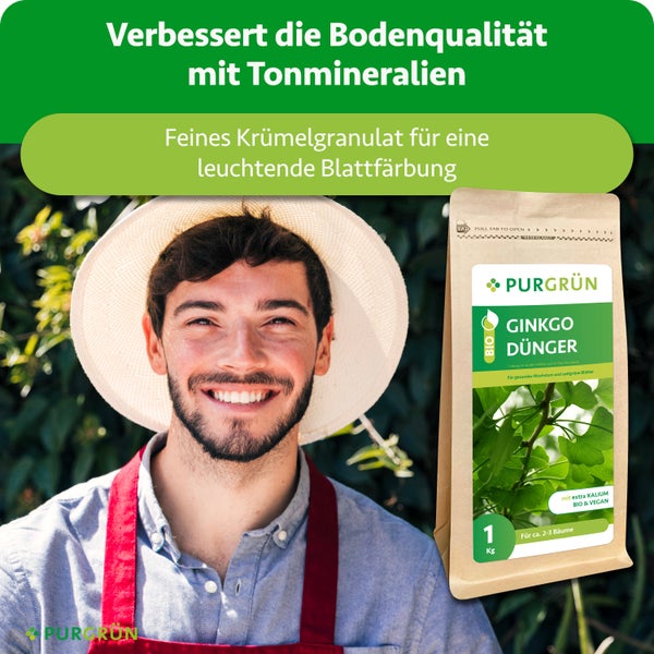 Ein lächelnder Gärtner neben einer Packung Purgrün Ginkgo Dünger 1 Kilogramm, Bio und Vegan, mit Tonmineralien für gesunde Blätter.