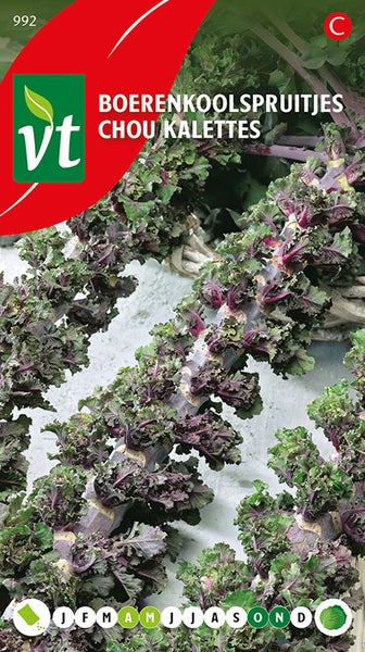 Boerenkoolspruitjes Pflanze