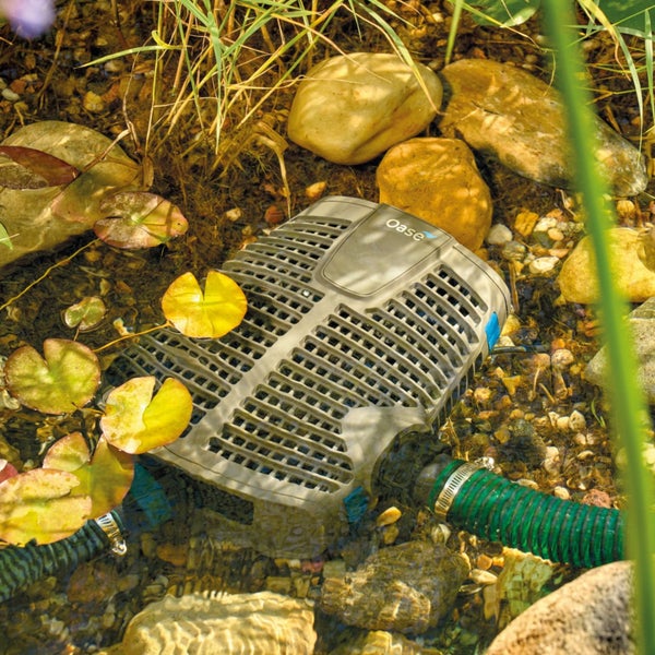 Oase Teichpumpe im Wasser eines Gartenteichs, umgeben von Steinen und Wasserpflanzen, angeschlossen an einen grünen Schlauch.