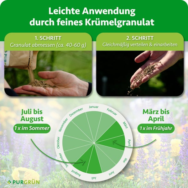Infografik zur Anwendung von Purgrün Granulat mit Anleitung in zwei Schritten und einem Anwendungsplan für das Frühjahr und den Sommer.