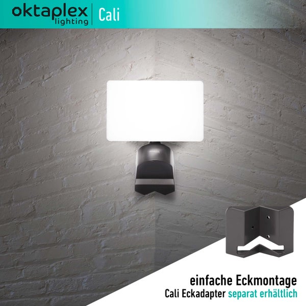 Cali LED Außenstrahler 30W IP65 Flutlicht anthrazit Wandleuchte 230V Außenbeleuchtung warmweiß 3000K