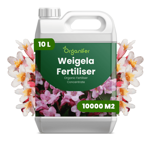 Organifer Weigela Dünger, 10 Liter organisches Düngerkonzentrat für 10000 Quadratmeter, mit Organifer Logo.