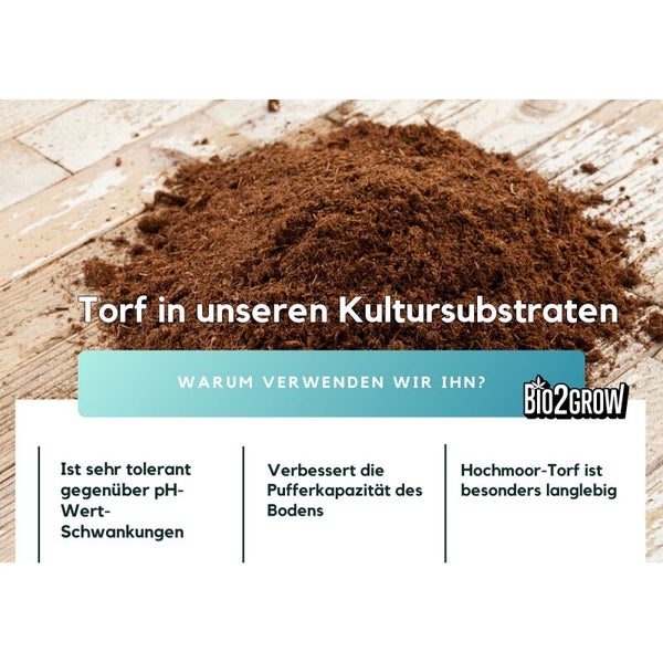 Bio2GROW Logo und Informationen über Torf in Kultursubstraten: pH-Wert-Toleranz, Pufferkapazität des Bodens und Langlebigkeit von Hochmoor-Torf.
