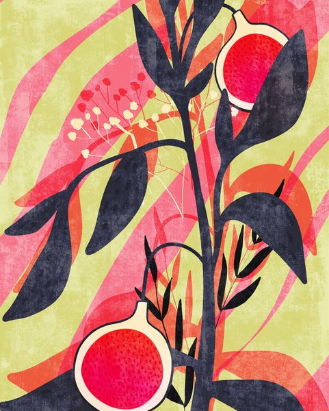 Abstrakte Illustration einer Feigenpflanze mit Blättern und Früchten